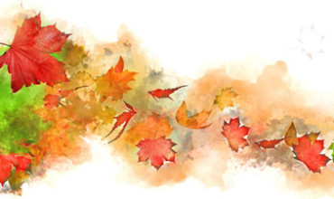 Herbstzeit ist Vatazeit