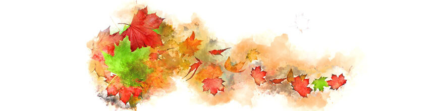 Herbstzeit ist Vatazeit