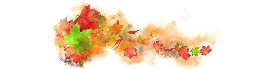 Herbstzeit ist Vatazeit